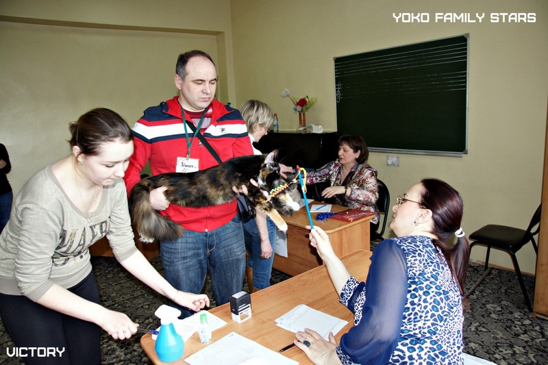 Yoko Family Stars, Victory, Тверь, 2015