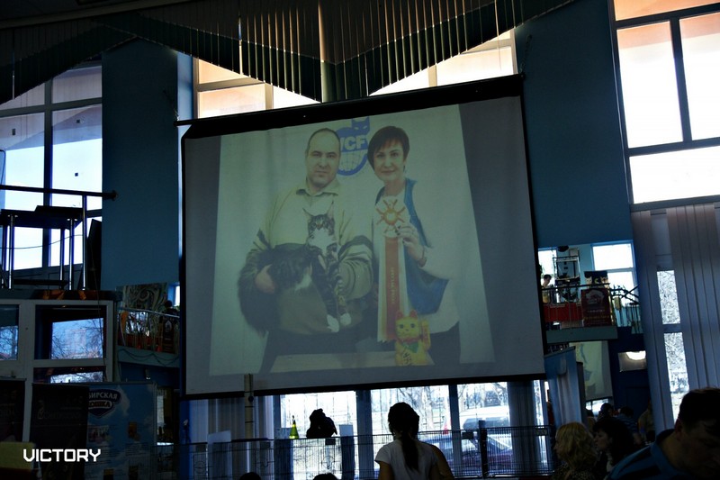 Космокот, Серпухов, VICTORY, 11-12 апреля, 2015