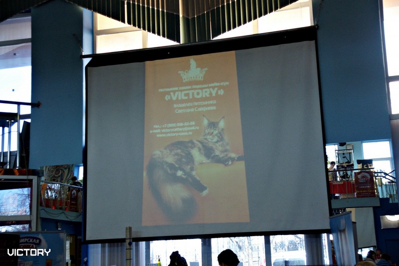 Космокот, Серпухов, VICTORY, 11-12 апреля, 2015