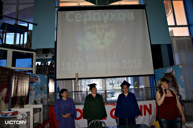 Космокот, Серпухов, VICTORY, 11-12 апреля, 2015