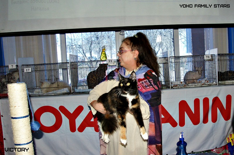 Космокот, Серпухов, VICTORY, 11-12 апреля, 2015