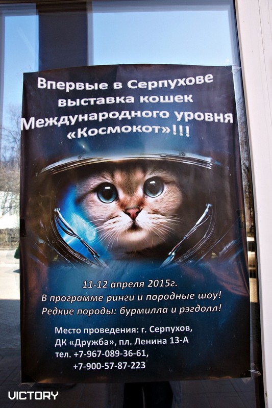 Космокот, Серпухов, VICTORY, 11-12 апреля, 2015