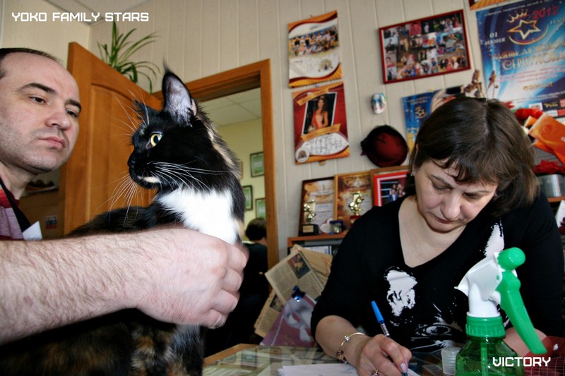 Космокот, Серпухов, VICTORY, 11-12 апреля, 2015