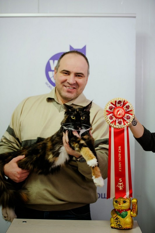 Yoko Family Stars, Альянс, VICTORY