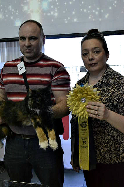 Космокот, Серпухов, VICTORY, 11-12 апреля, 2015