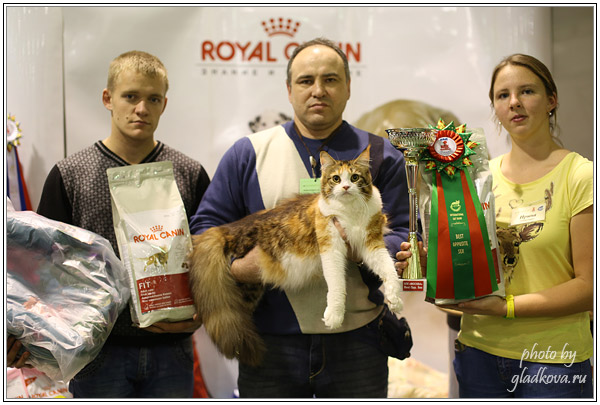 Gloriasterra Roxolana - Best opposite sex