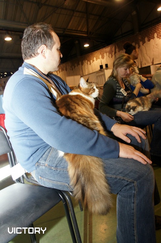 Роксолана в ожидании экспертизы