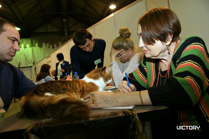Роксолана в открытом классе, второй день