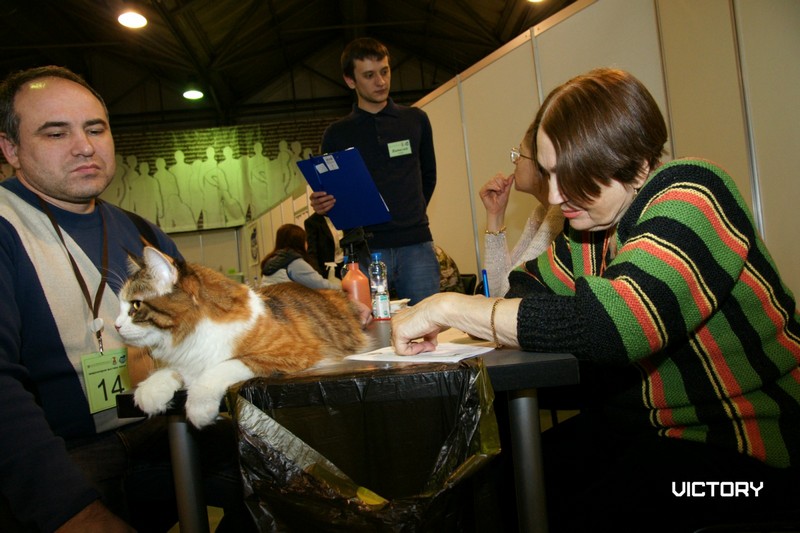 Роксолана на экспертизе в открытом классе, второй день