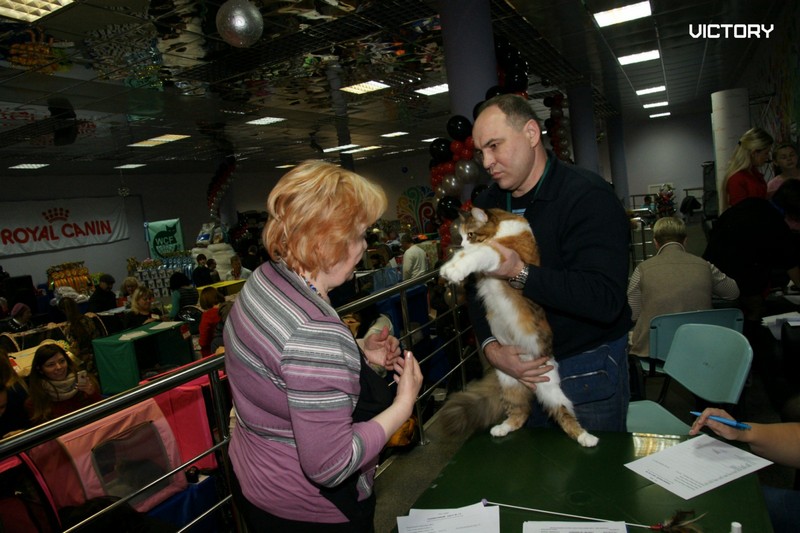 Выставка в Туле, VICTORY