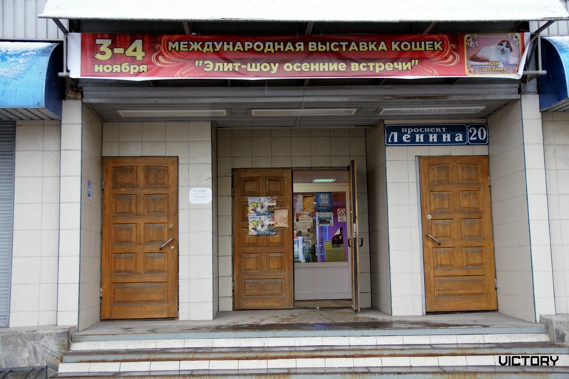 Выставка в Туле, VICTORY