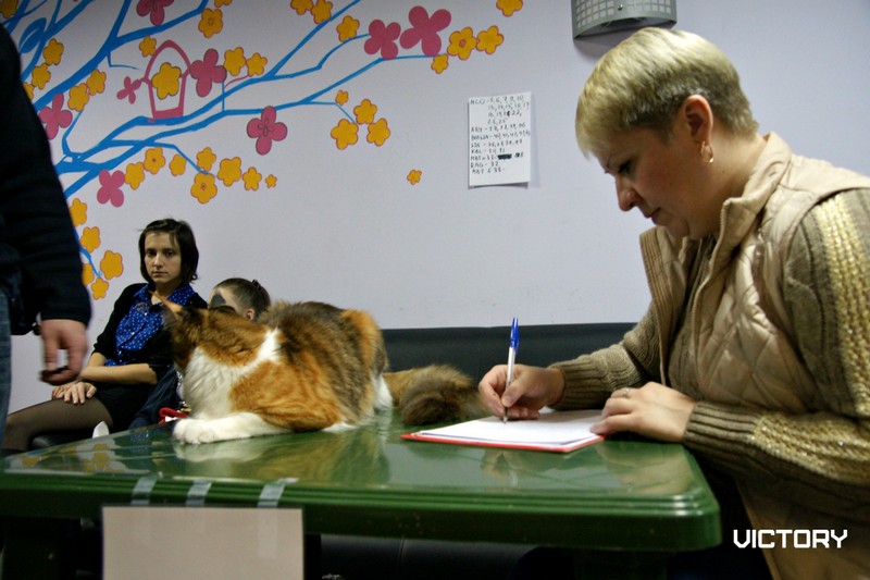 Выставка в Туле, VICTORY