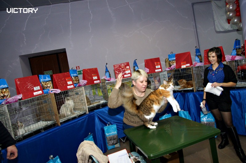 Выставка в Туле, VICTORY