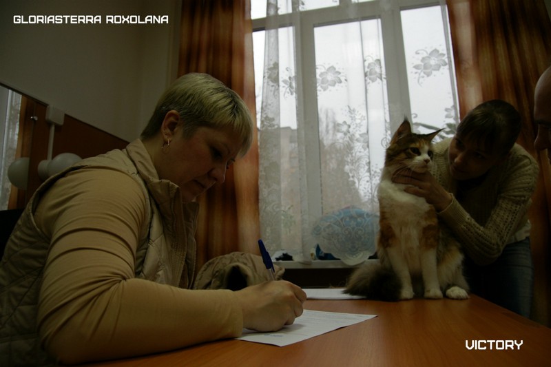 VICTORY в Иваново, 8-9 ноября, 2014