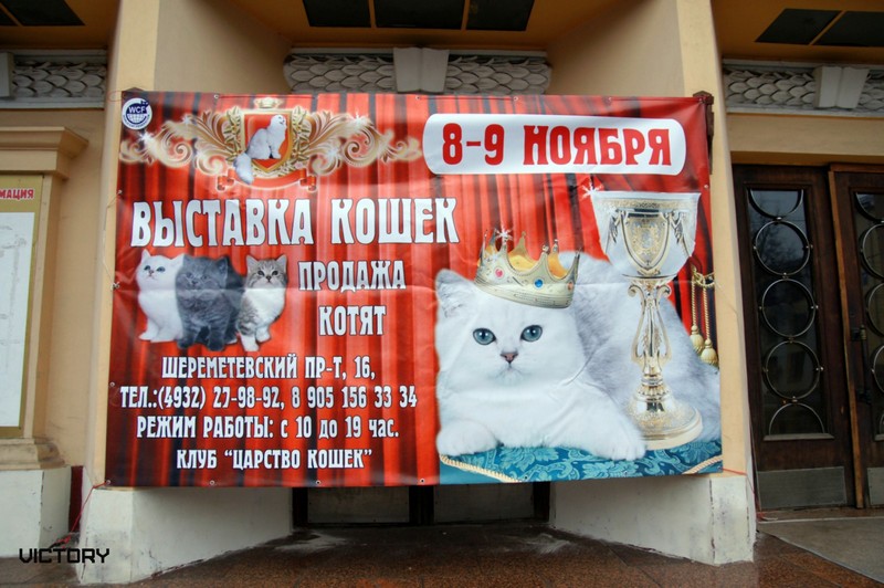 VICTORY в Иваново, 8-9 ноября, 2014