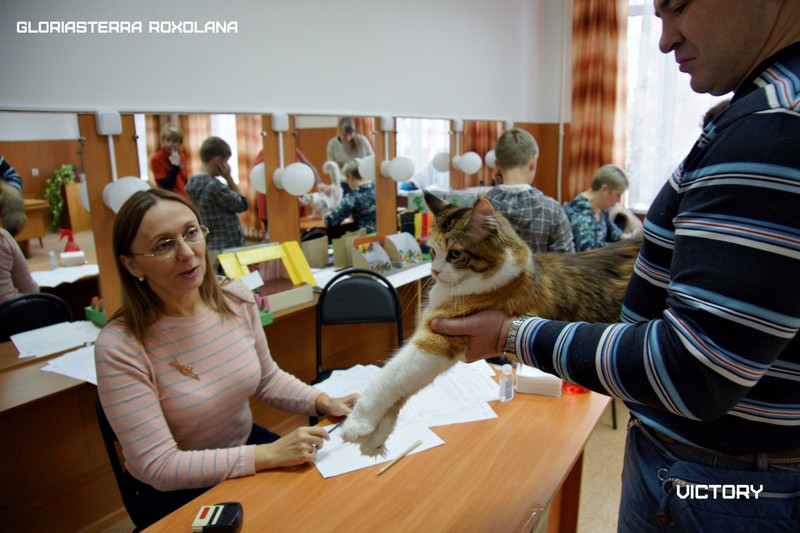 VICTORY в Иваново, 8-9 ноября, 2014
