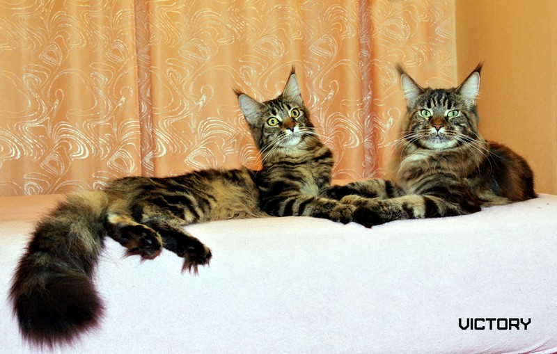 Мама с дочкой