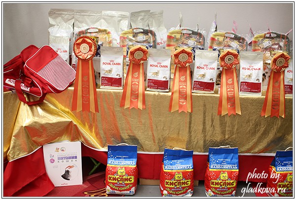 HoneyDevil Walter, Бомонд - 2015, VICTORY