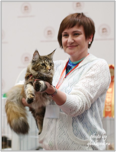 Бомонд - 2015, VICTORY