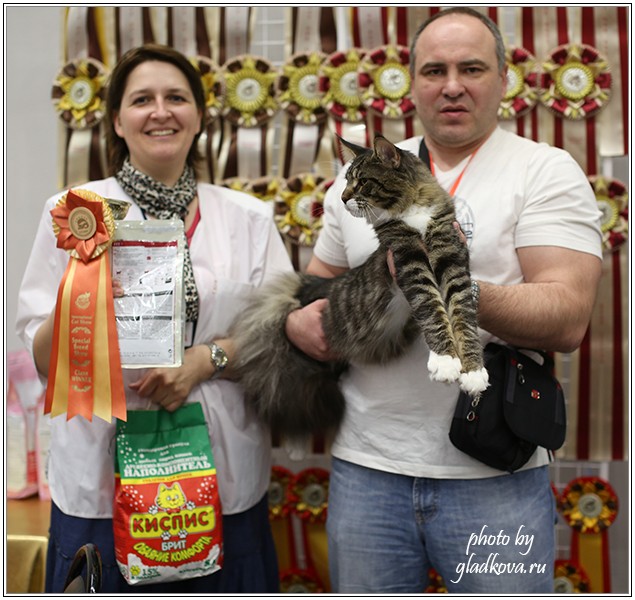 HoneyDevil Walter, Бомонд - 2015, VICTORY