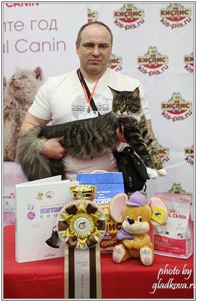 HoneyDevil Walter, Бомонд - 2015, VICTORY