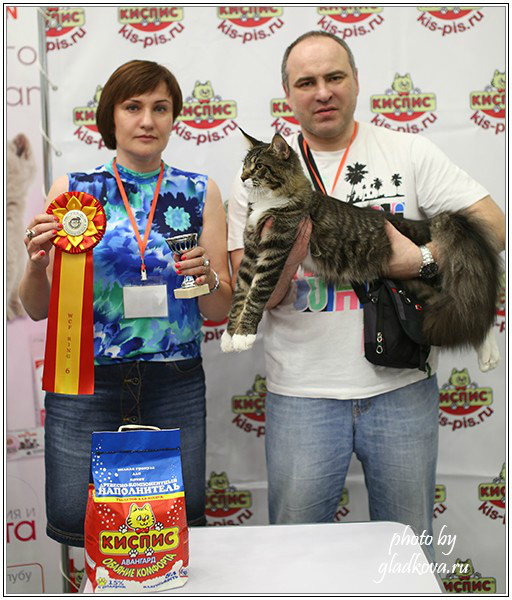 HoneyDevil Walter, Бомонд - 2015, VICTORY