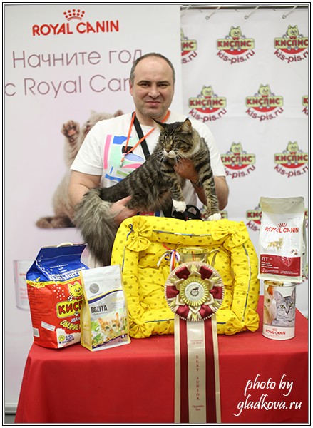 HoneyDevil Walter, Бомонд - 2015, VICTORY