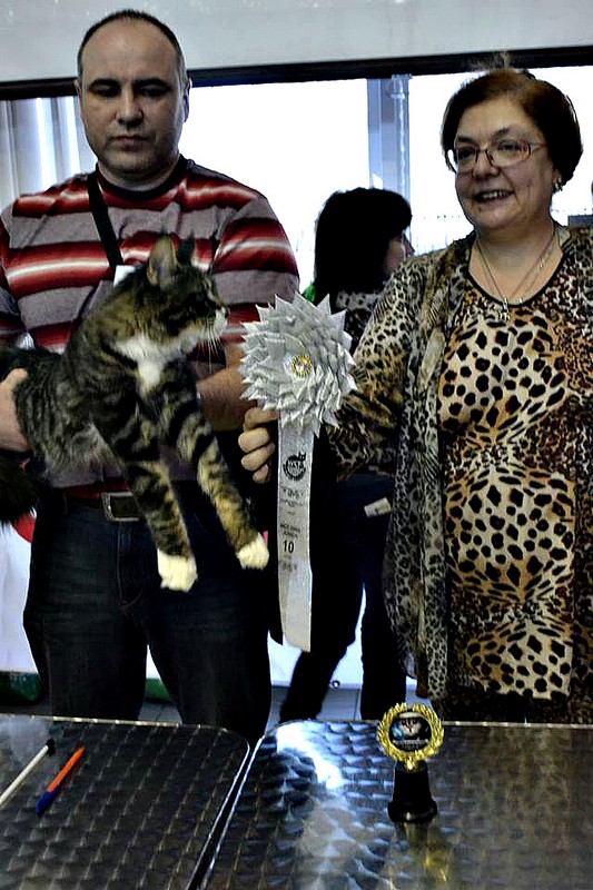 Космокот, Серпухов, VICTORY, 11-12 апреля, 2015