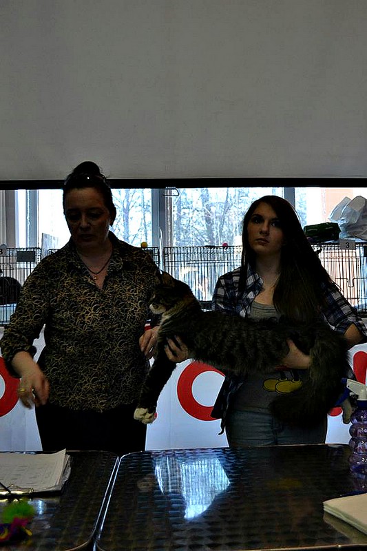 Космокот, Серпухов, VICTORY, 11-12 апреля, 2015