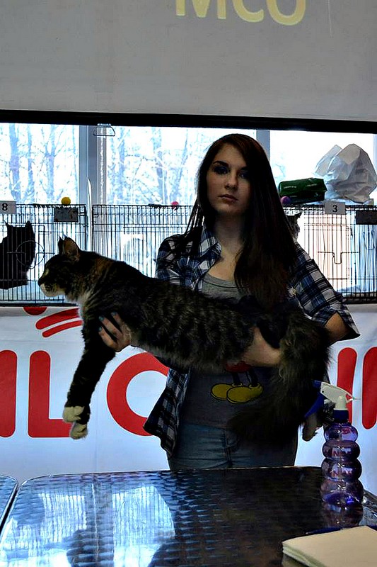 Космокот, Серпухов, VICTORY, 11-12 апреля, 2015