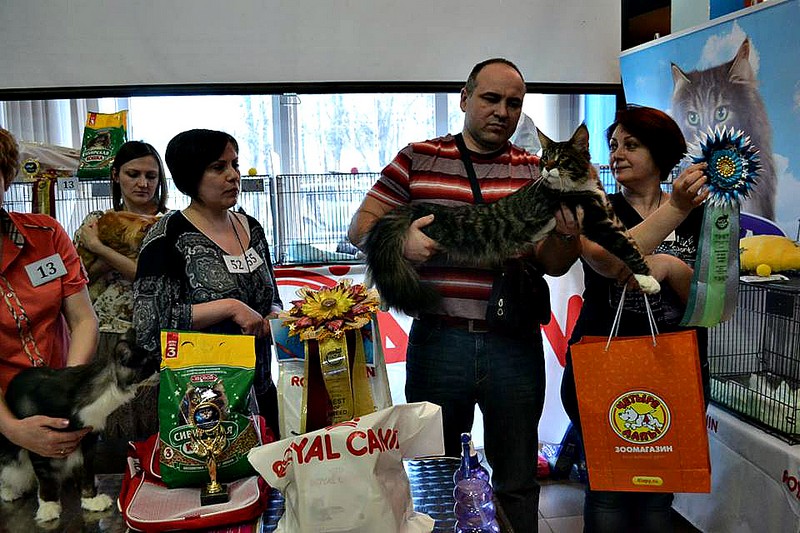 Космокот, Серпухов, VICTORY, 11-12 апреля, 2015