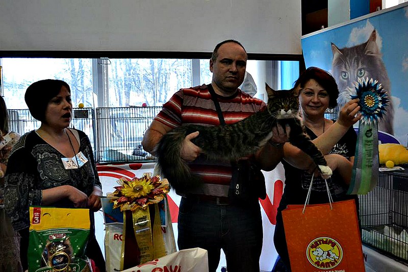 Космокот, Серпухов, VICTORY, 11-12 апреля, 2015