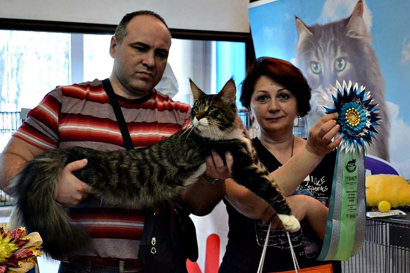 Космокот, Серпухов, VICTORY, 11-12 апреля, 2015