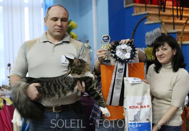 Космокот, Серпухов, VICTORY, 11-12 апреля, 2015