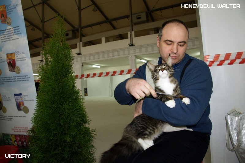 HoneyDevil Walter, Фрея, VICTORY