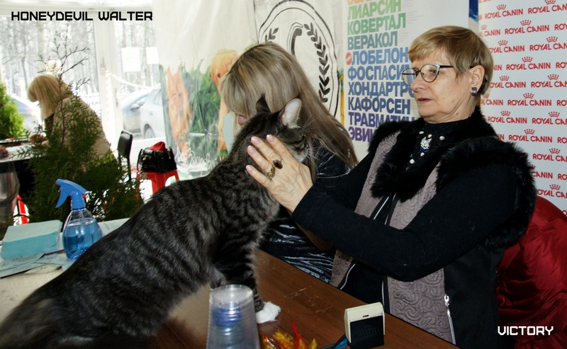 HoneyDevil Walter, Фрея, VICTORY