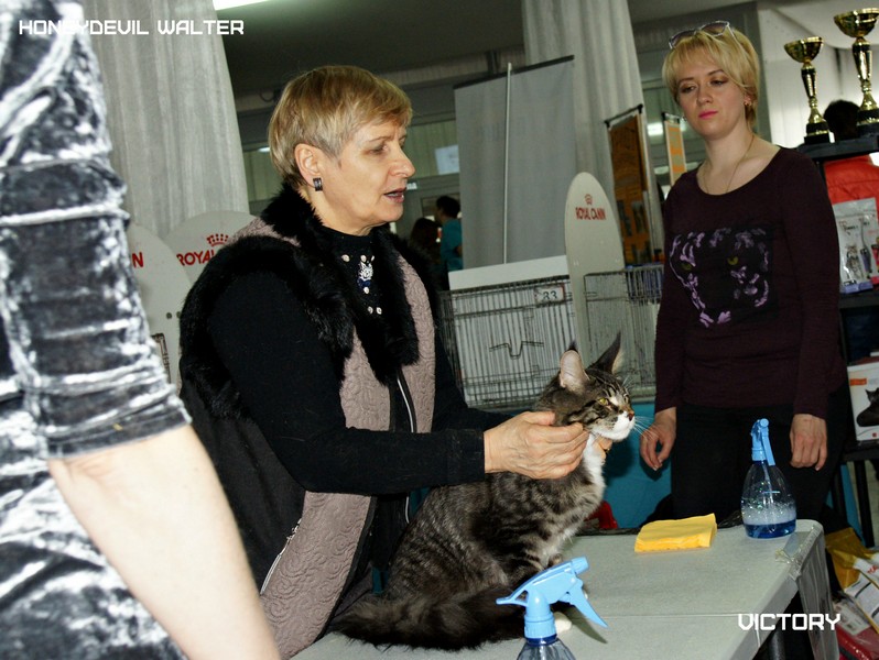 HoneyDevil Walter, Фрея, VICTORY