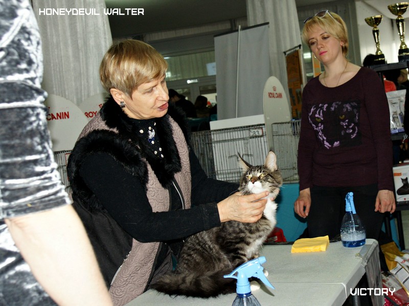 HoneyDevil Walter, Фрея, VICTORY