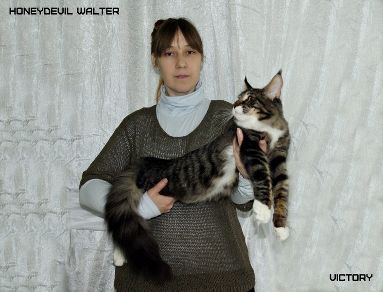 HoneyDevil Walter, Фрея, VICTORY