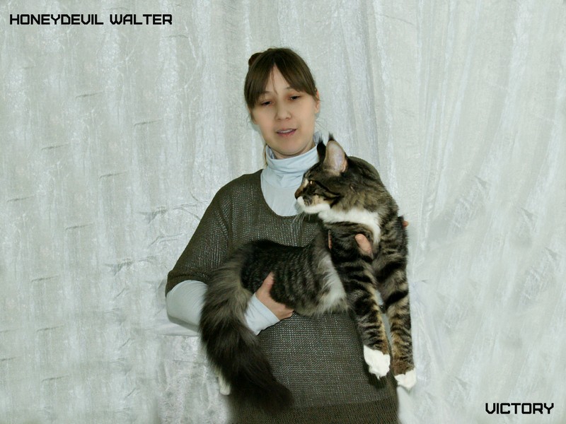 HoneyDevil Walter, Фрея, VICTORY