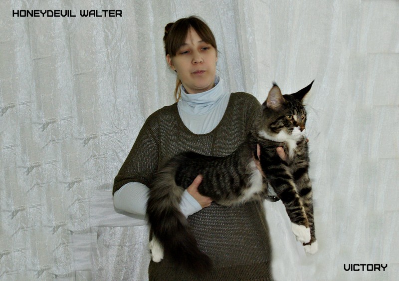 HoneyDevil Walter, Фрея, VICTORY