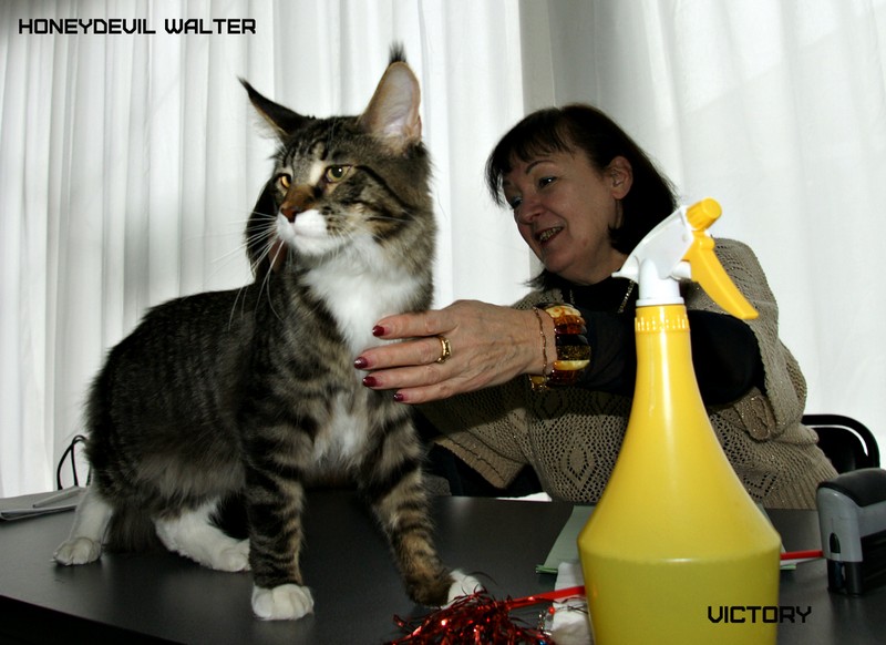 HoneyDevil Walter, Зимний Гла-Мурр -2015, VICTORY