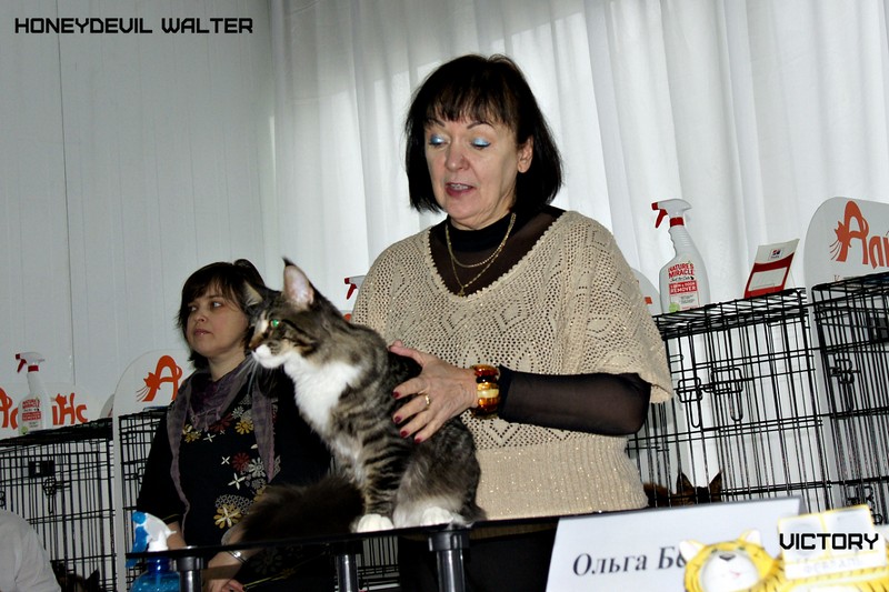 HoneyDevil Walter, Зимний Гла-Мурр -2015, VICTORY