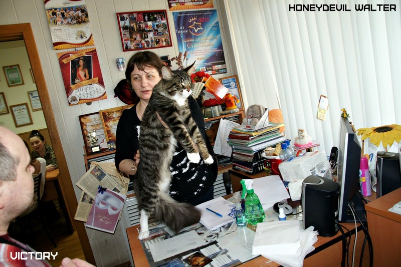 Космокот, Серпухов, VICTORY, 11-12 апреля, 2015