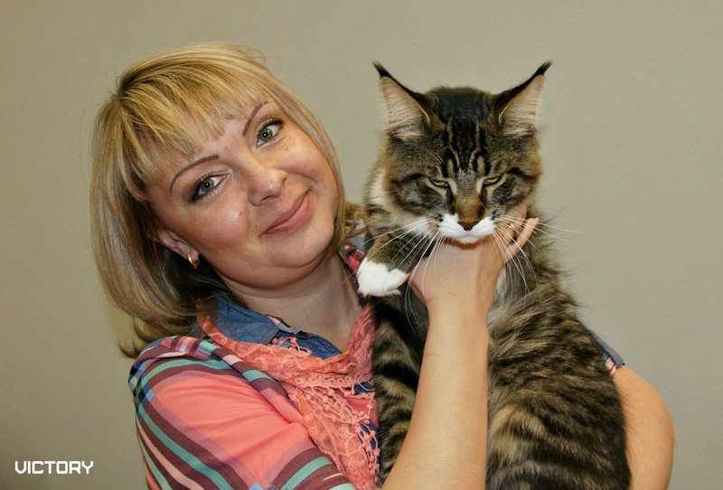 HoneyDevil Walter, Бомонд - 2015, VICTORY