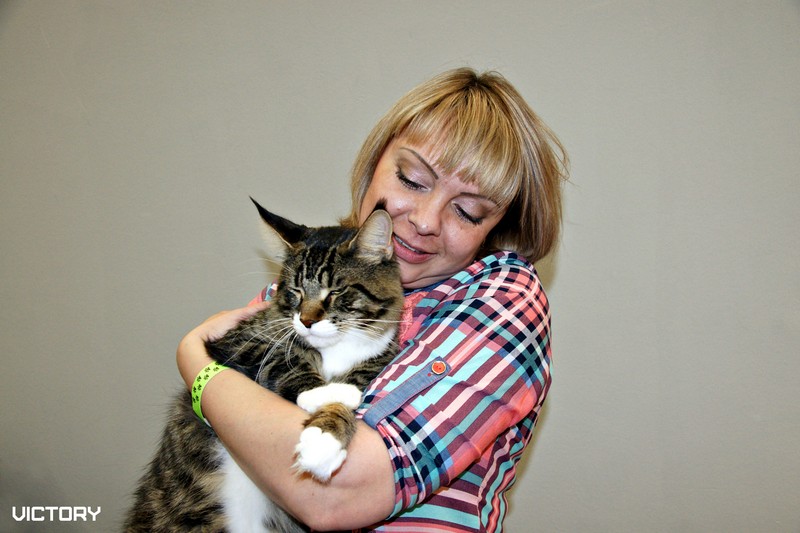 HoneyDevil Walter, Бомонд - 2015, VICTORY