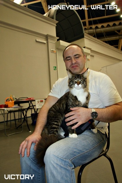 HoneyDevil Walter, Бомонд - 2015, VICTORY