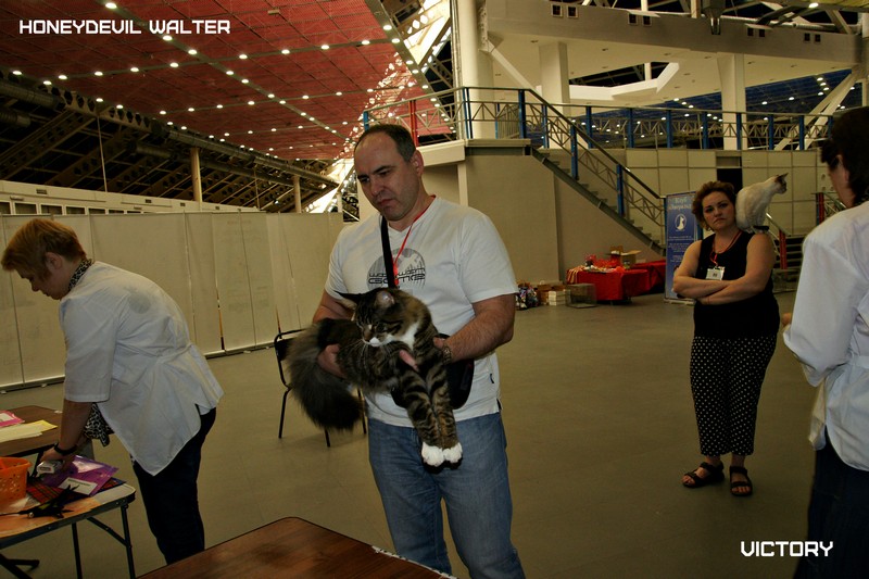 HoneyDevil Walter, Бомонд - 2015, VICTORY