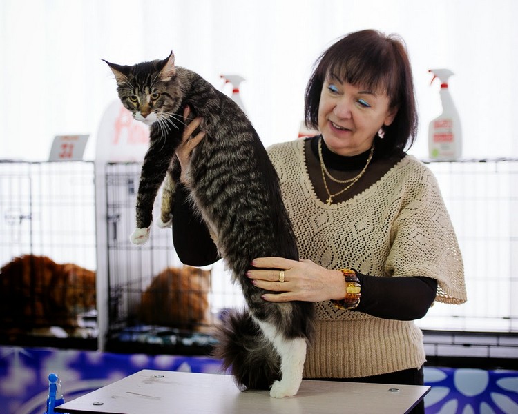 HoneyDevil Walter, Зимний Гла-Мурр -2015, VICTORY