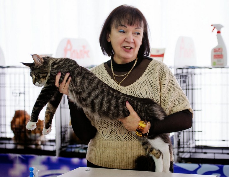 HoneyDevil Walter, Зимний Гла-Мурр -2015, VICTORY